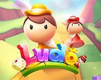 Ludo KM